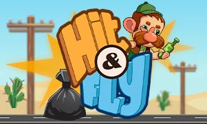 Hit and Fly